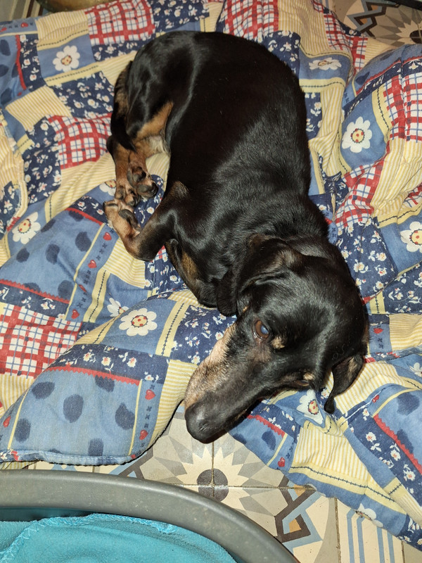 [Image: 20231129-204334.jpg]