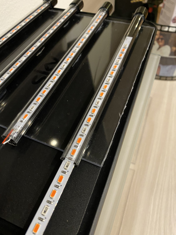 7C952288-31A9-4C0F-9B6D-0924B646D460