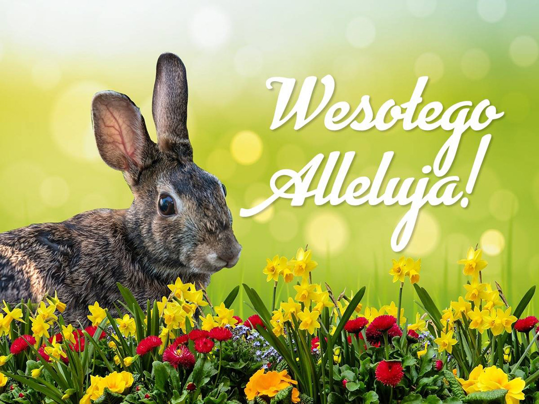 Wielkanoc 2022