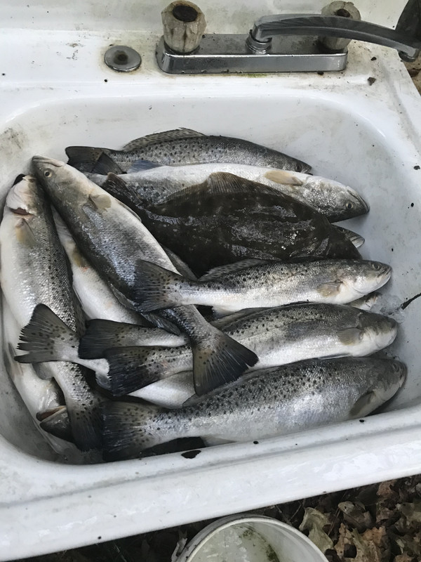 13EBF39C-A2D8-4DF5-98B1-0251E023A9D4