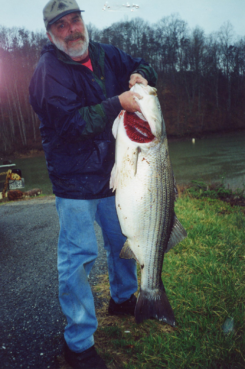 81 Lb Striper  Smith Mountain Lake Fishing Forums