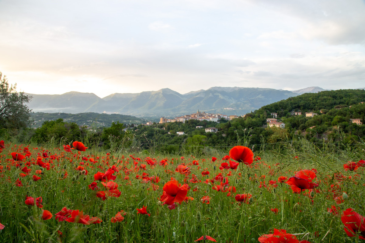 4BECA893-758D-4E74-97DF-81DF39947321