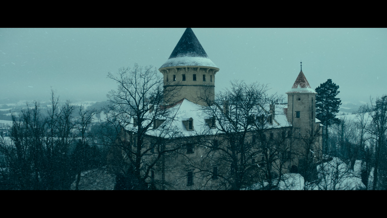 mpv-shot_White.Bird.2023.2160p.UHD.BDRemux.HDR.DV.HEVC-Нечипорук_00_36_38_0005