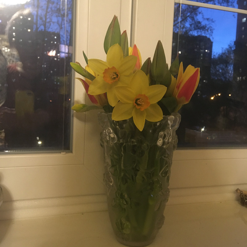 всяко с айфона апрель 025