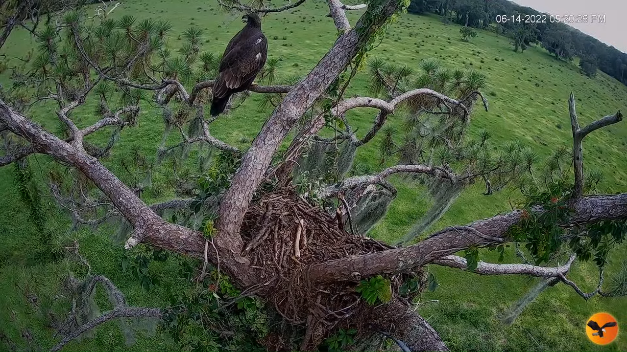 EC 4K Overhead Cam 3-0-18 screenshot