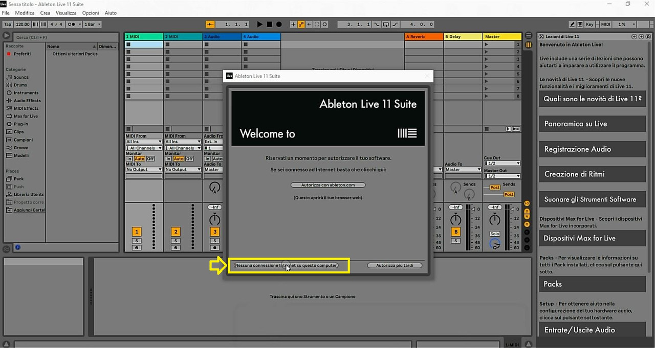 Ableton Live 11 (Avv Ness Conn 2)