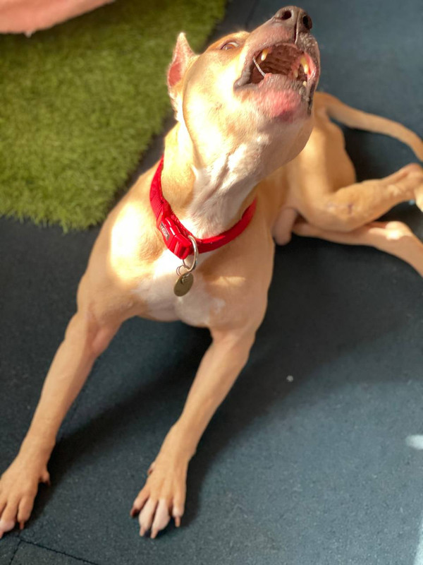 C6EEAFE9-CACF-4F73-ADDD-EF8F6E8B7299