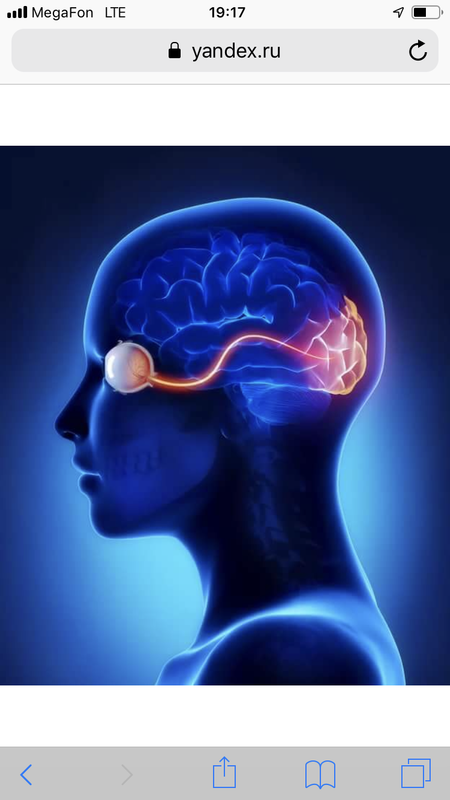 644EA88F-A066-4A66-A5EA-8A2467C48470