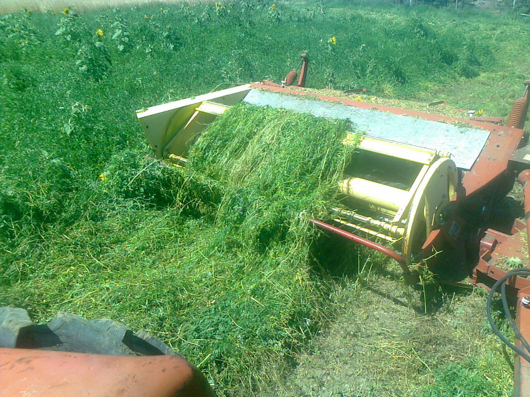 Photo0139_20130917T142552-184