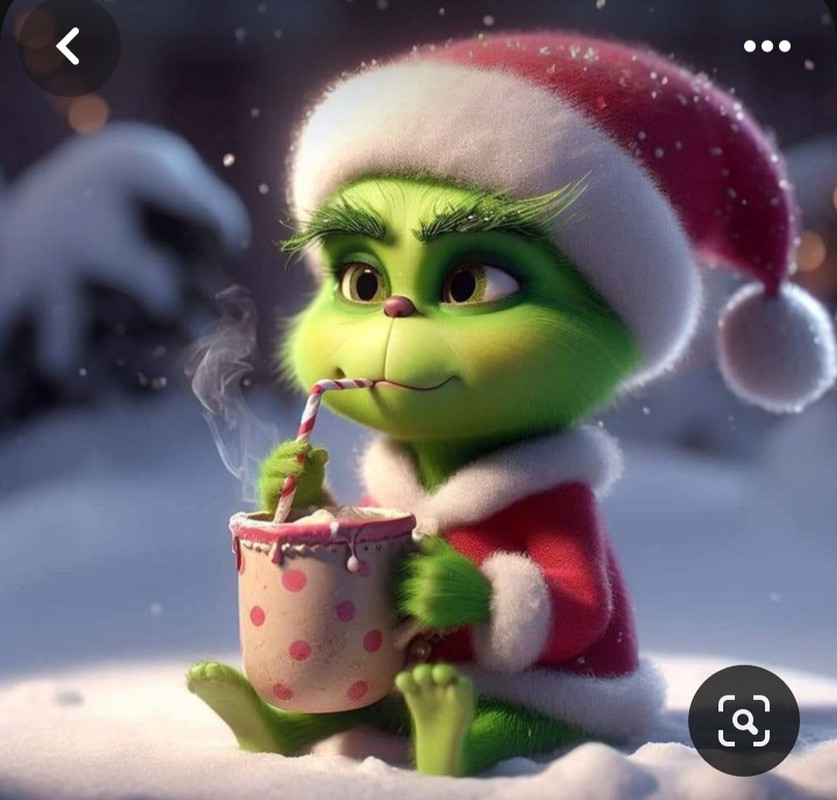 Screenshot_20231219_202108_Pinterest