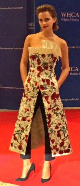 emmawatson-updates.com (10)