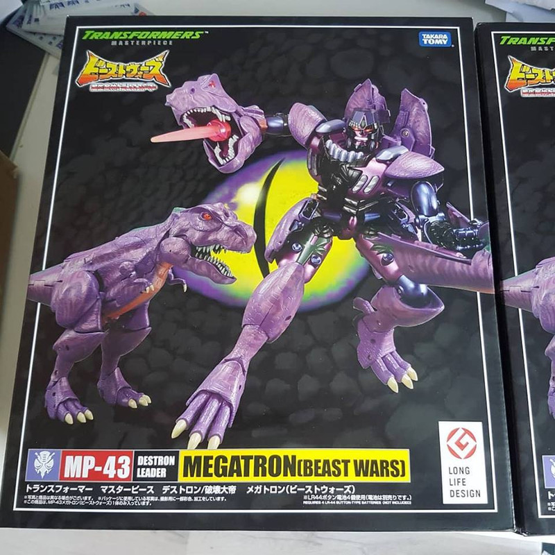 56264348_2661273117220564_5456631923797393408_n