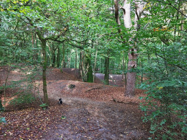 Afbeelding