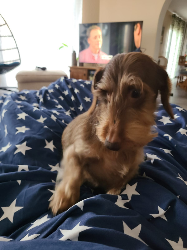 [Image: IMG-20240310-WA0012.jpg]