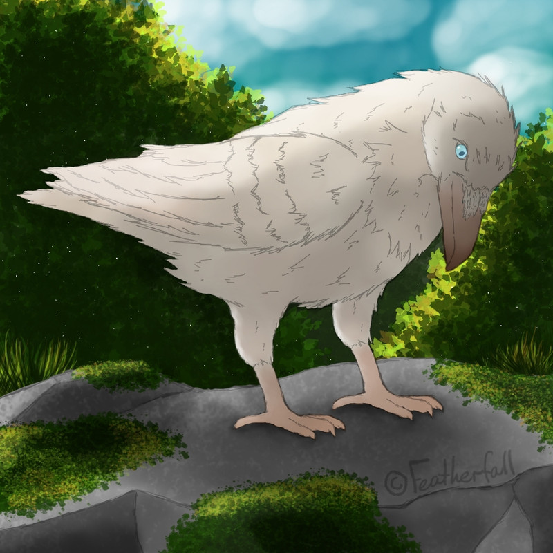 whiteraven-WPbig.jpg