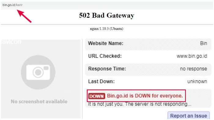 Website BIN down