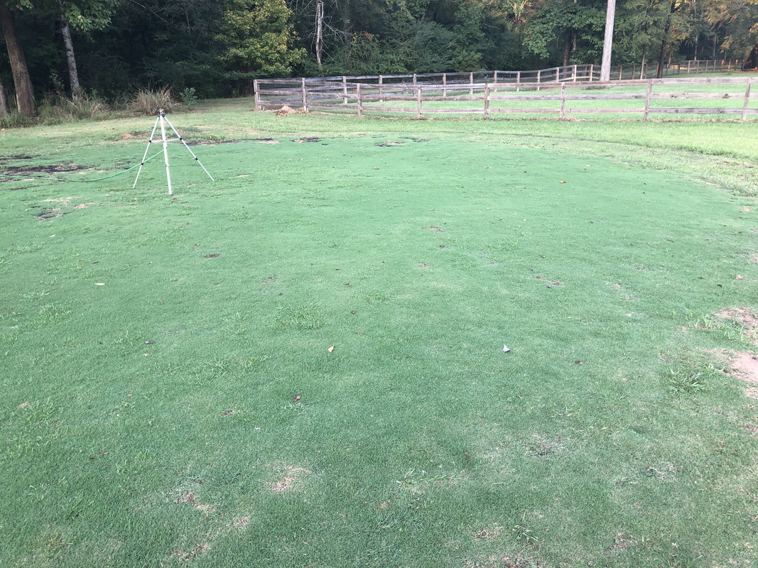 55F77AB6-F5AE-4D4F-BC88-741A53459EAB