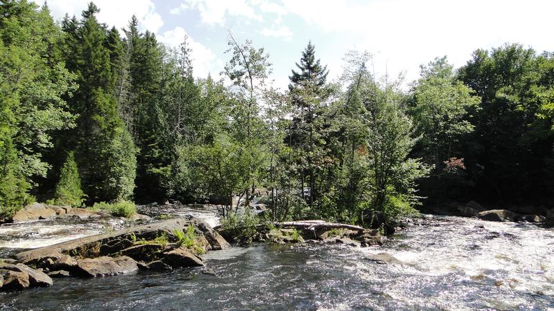 3.000 km por el este de Canadá - Blogs of Canada - Preparativos (7)