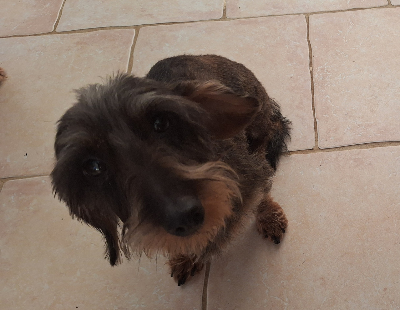 [Image: 20251126-093138.jpg]