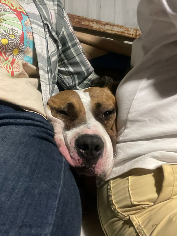 5274BC70-A576-44B5-A751-91A0DA8ACE1C