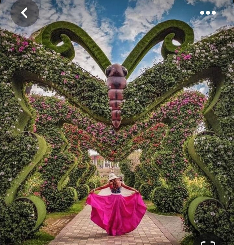 Screenshot_20230611_231504_Pinterest