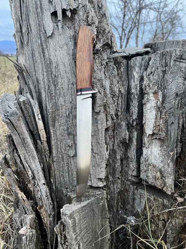 66FBFFF2-B406-4CC1-B521-0A33A450DE6F