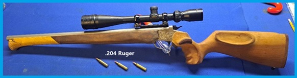 204-Ruger-setup-sm.jpg