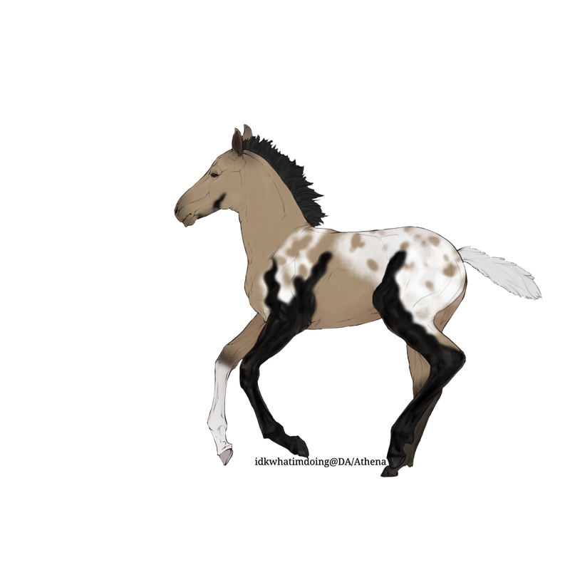Untitled88-20250331151630.png