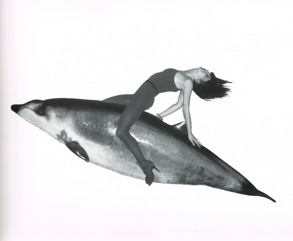 kate_bush_mb40
