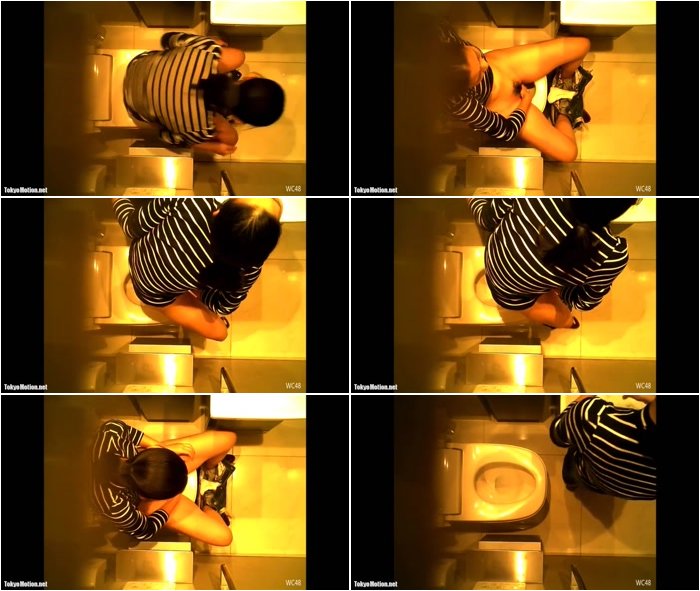 [Image: hidcam-mast-in-toilet-3.jpg]