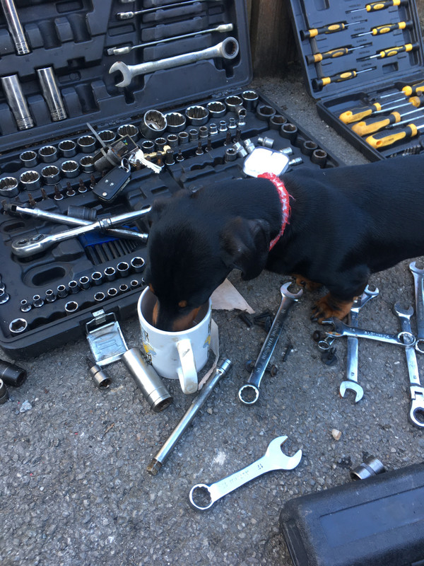 D63FDE2E-B165-47E1-87CD-AC5017703A92