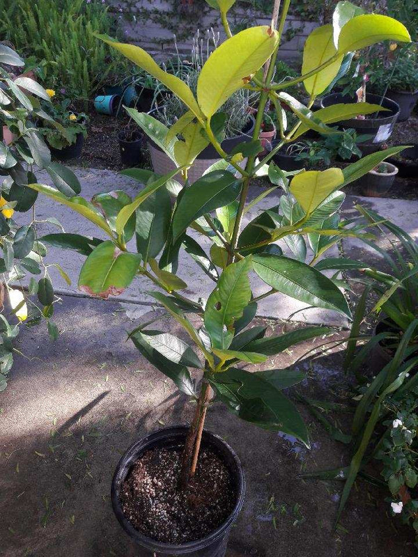 20180410_171339_1523405640509