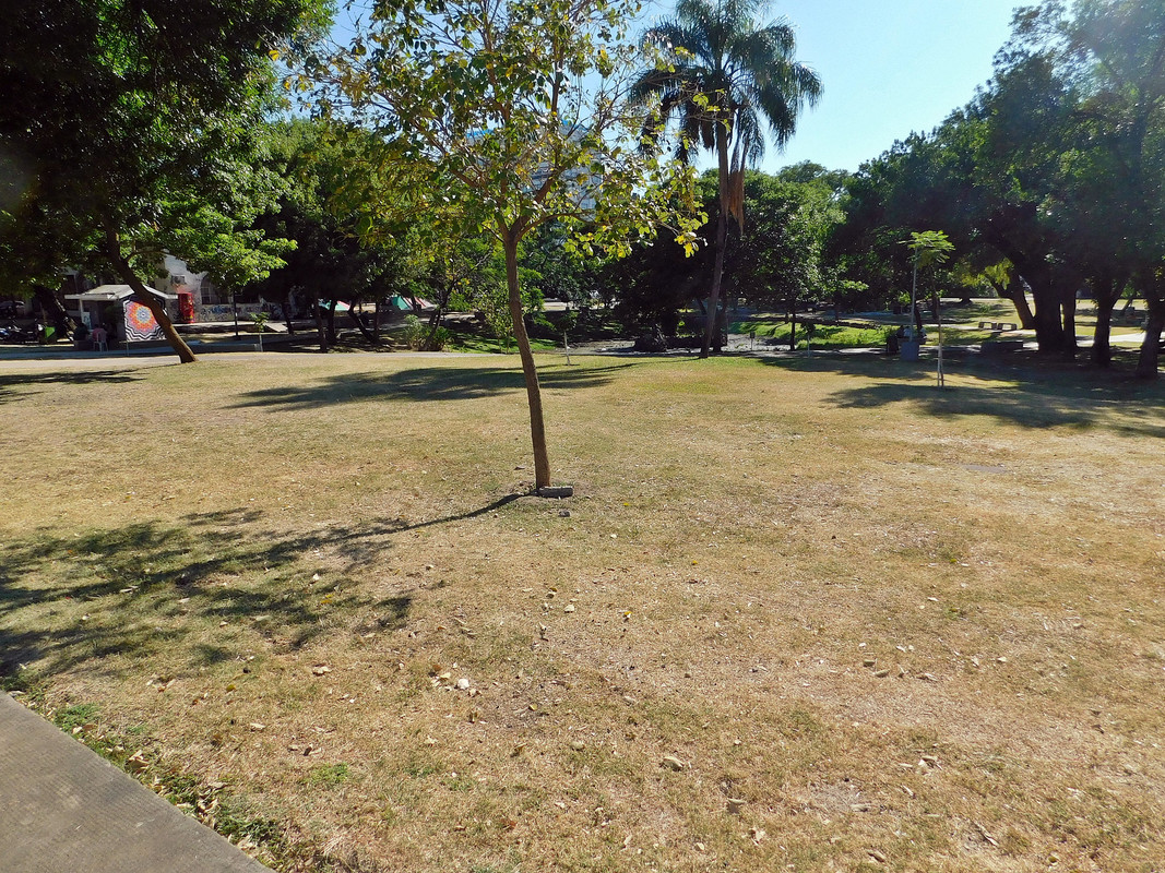 DSCN0636.jpg