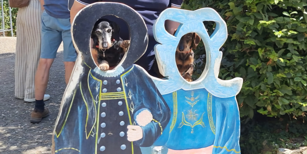 [Image: IMG-20250622-155604.jpg]