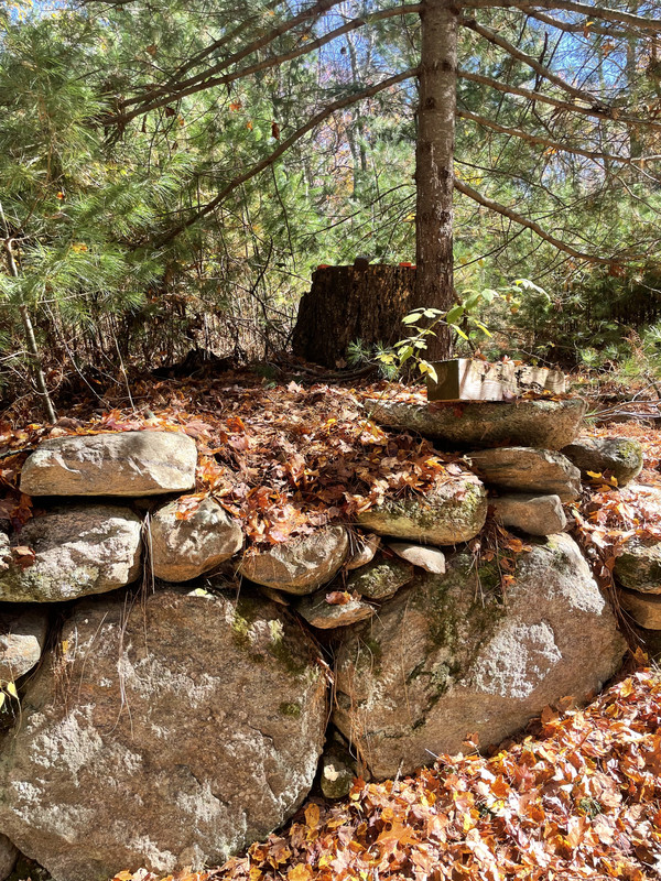 C18C515A-FA65-494D-B7E2-7BFD228577CA