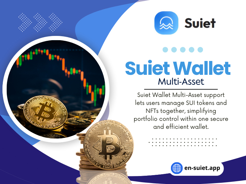 Suiet Wallet Multi Asset
