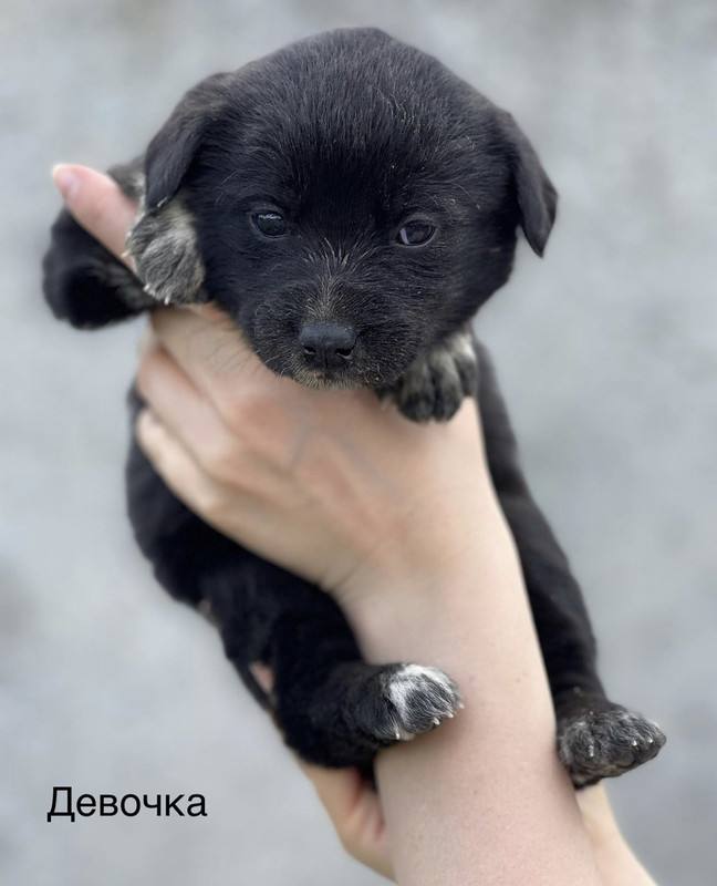 02EE115C-17FE-4A66-BBAA-0A4C8D8CAEE1