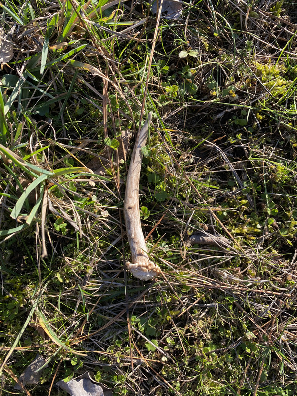 BD6B8A51-BCA5-4FD7-B65B-E871A83969BE