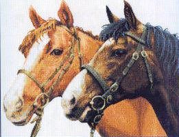 4-DM5-Horses