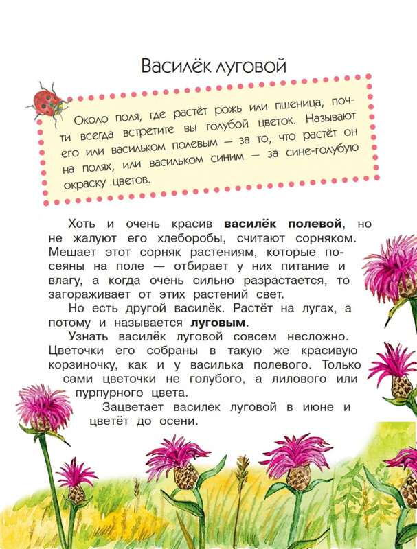 Onegov-Anatolij-Pochemu-kukushka-slozki-lot-page-0029