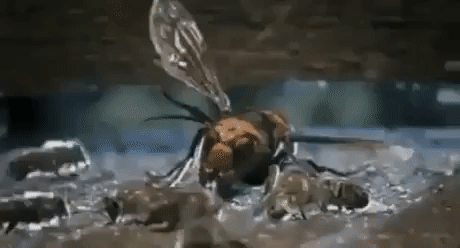 https://i.postimg.cc/d0yLPNyf/6.gif