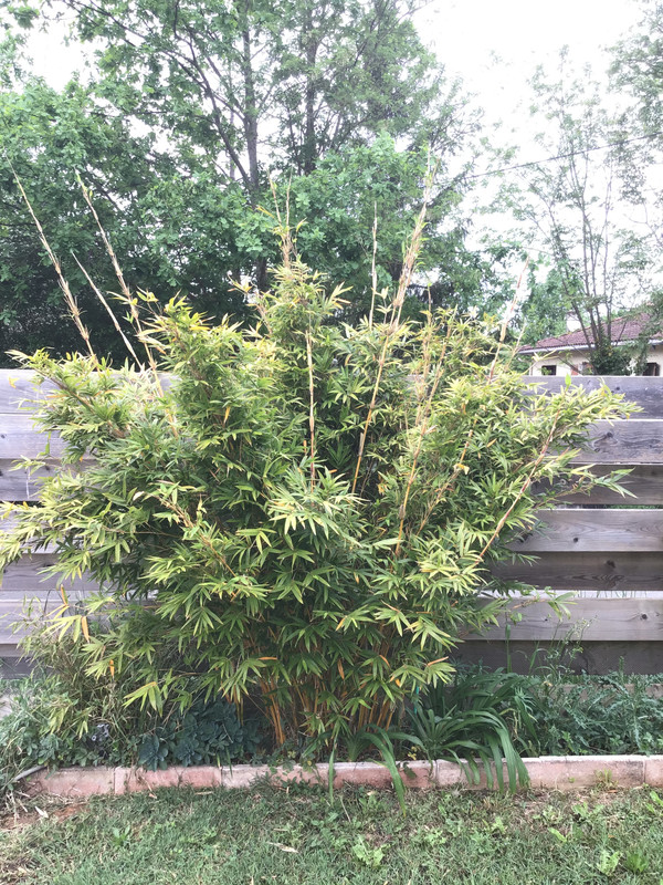 04D1B981-889A-4C4F-AA86-140DC91F0D4C