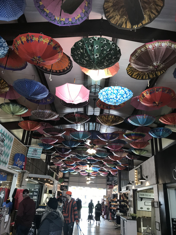 [Image: 668-D192-E-3333-4-AEC-B144-66-EAABC4-EFE3.jpg]