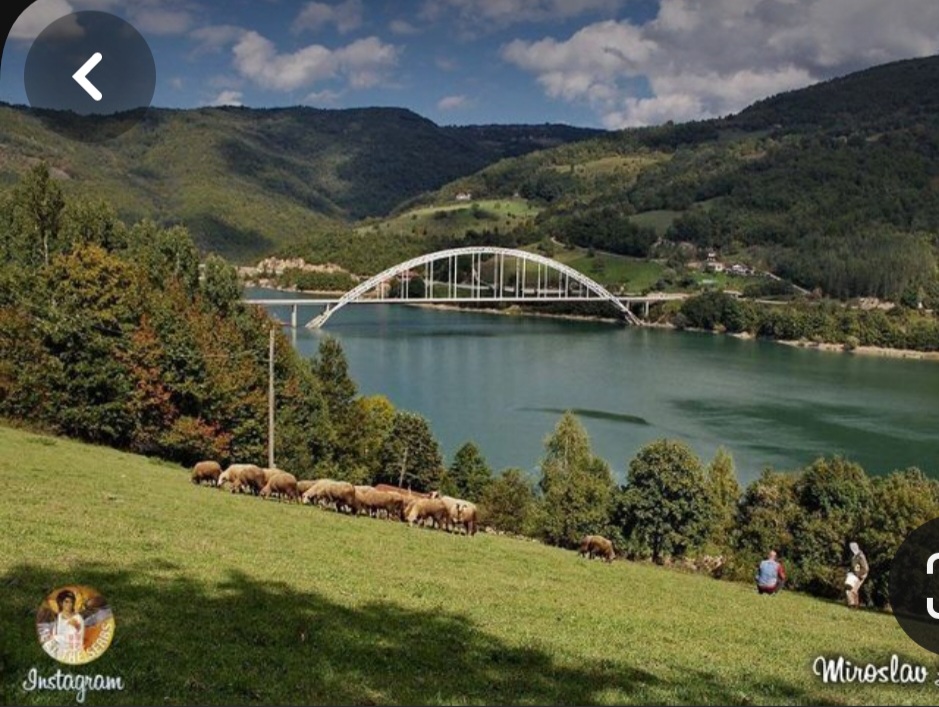 Screenshot_20231119_100120_Pinterest