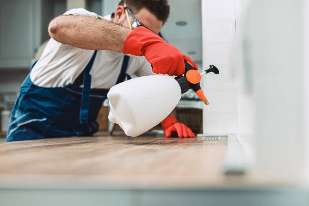Kissimmee Exterminator