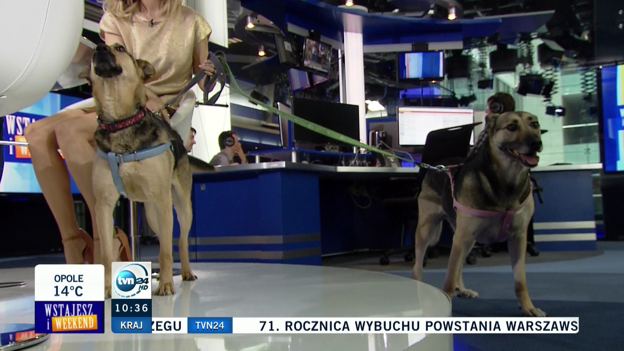 TVN_24_HD-01082015-1033.mts (0_03_01) 004457