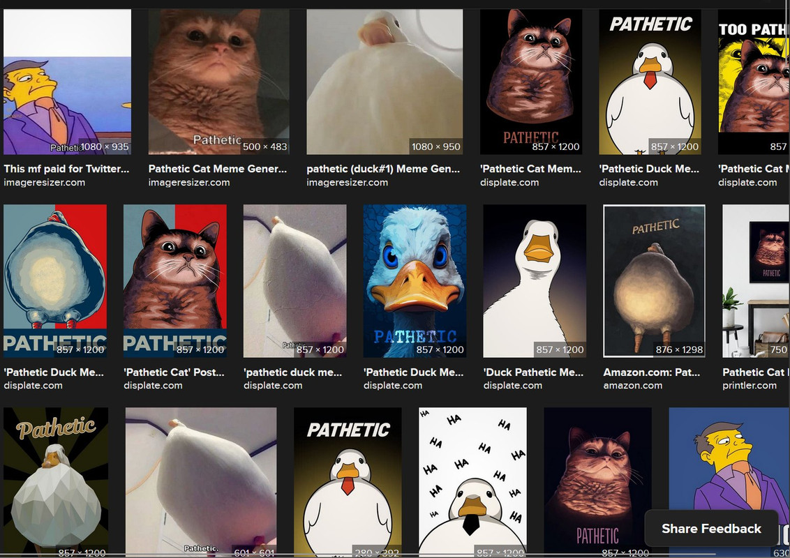 [Image: pathetic.jpg]