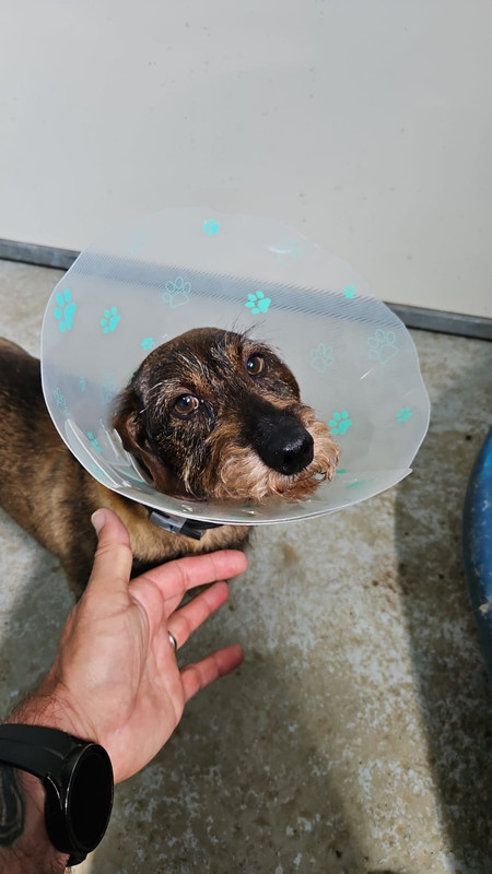 [Image: IMG-20240719-WA0003.jpg]