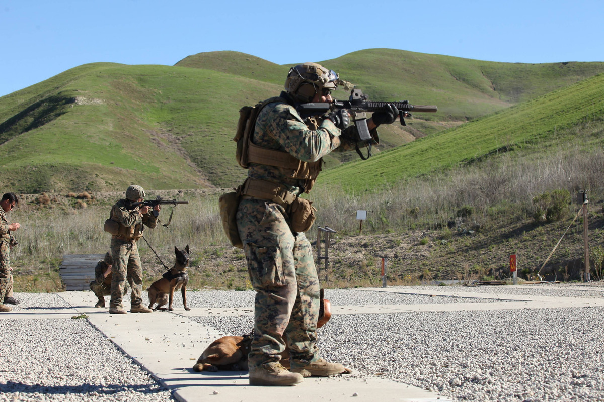 U.S. MARSOC multipurpose canine handlers4