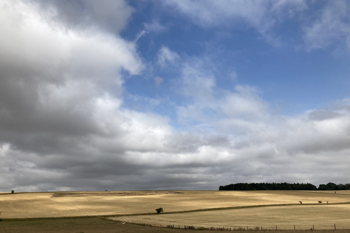 D1CA4E4D-3220-4841-AEC9-16DC1150B7E3